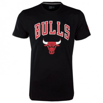 New Era Team Logo Chicago Bulls 11530755